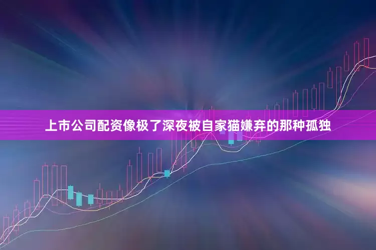 上市公司配资像极了深夜被自家猫嫌弃的那种孤独